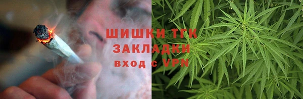 сатива Алзамай