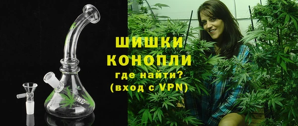спайс Арсеньев