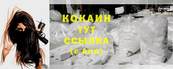 спайс Арсеньев