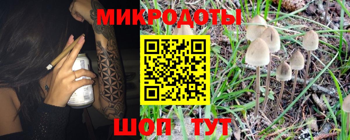 Псилоцибиновые грибы мухоморы Саров