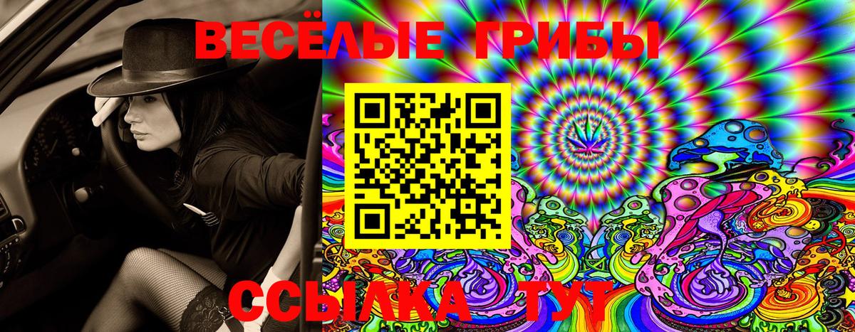 Псилоцибиновые грибы ЛСД  Галлюциногенные грибы GOLDEN TEACHER  Саров  Вход с VPN 